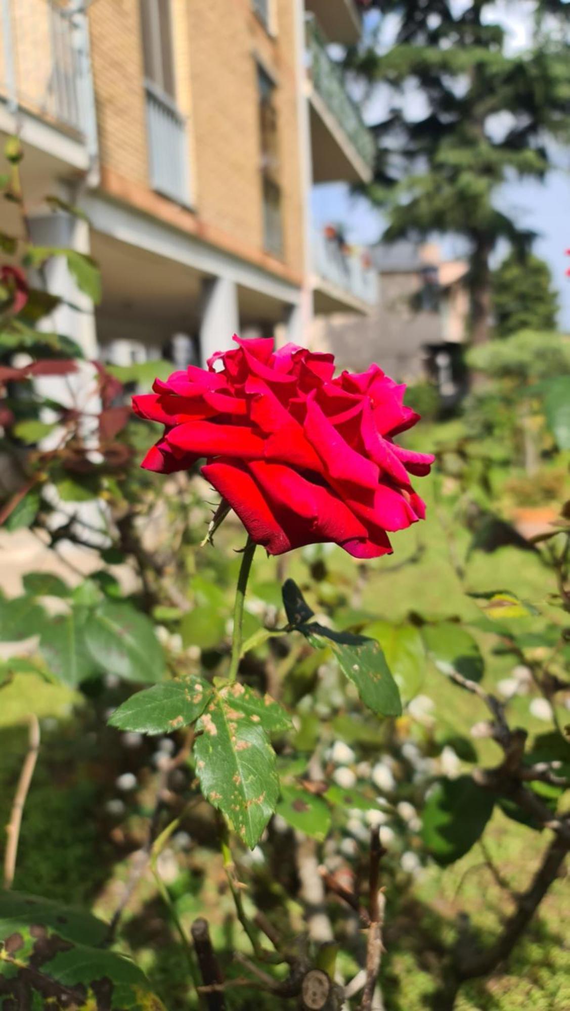 Casa Myrina Διαμέρισμα Scafati Εξωτερικό φωτογραφία